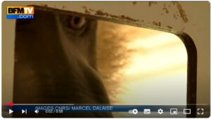 L'orthographe chez le babouin